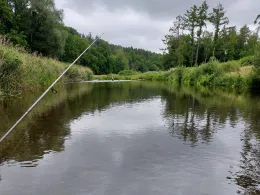 Freiberger Mulde (Nossen)