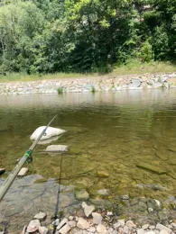 Freiberger Mulde (Nossen)-2