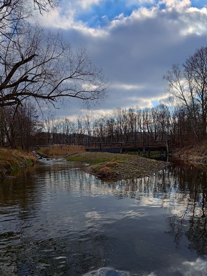 Freiberger Mulde (Nossen)-3