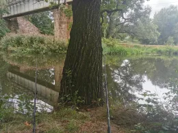 Freiberger Mulde (Nossen)-3