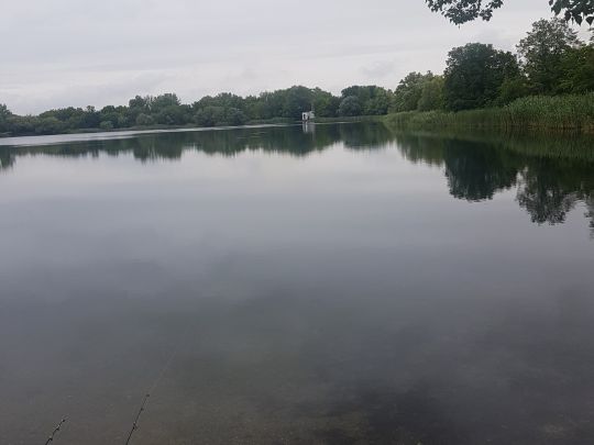 Kiesgrube Rattmannsdorf angeln