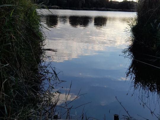 Laake (Löderburg)-4