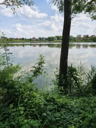 Laake (Löderburg)-1