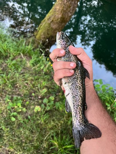 Vrbas (Banja Luka)-1