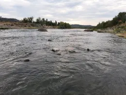 Vrbas (Banja Luka)-1