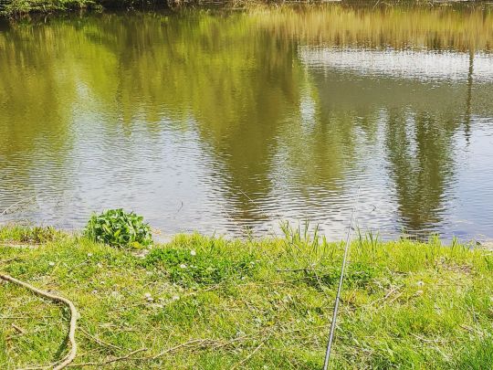 Dorfteich Spornitz-1