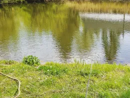 Dorfteich Spornitz-1