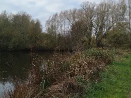 Katzenkuhle (Lachendorf)-1