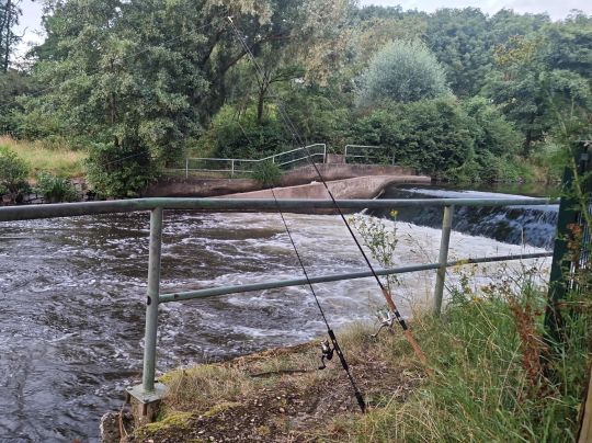Rur (Düren)-1