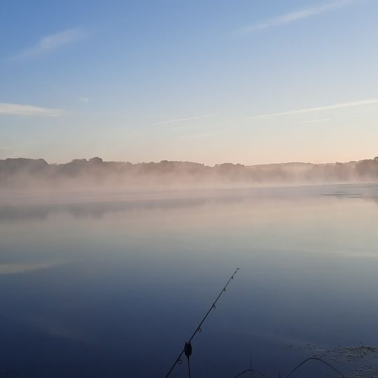 Wiesensee (Stahlhofen)-4