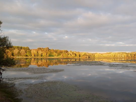 Wiesensee (Stahlhofen)-2