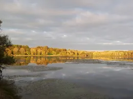 Wiesensee (Stahlhofen)-2
