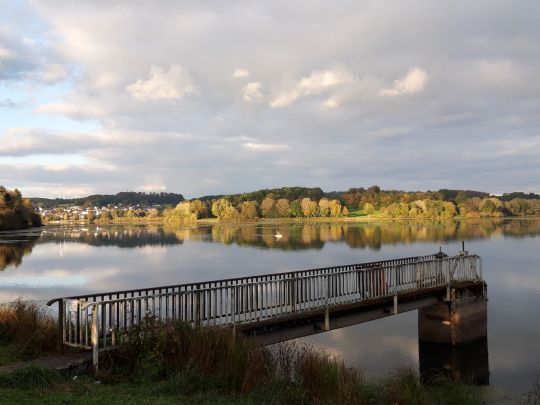 Wiesensee (Stahlhofen) angeln