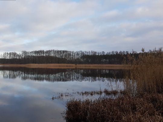 Kleiner Lottschesee