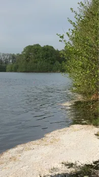 Bernsteinsee (Conneforde)