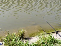 Ölgrundteich (Hettstedt)-1