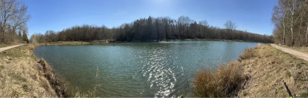 Ölgrundteich (Hettstedt)-2