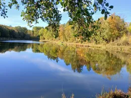 Ölgrundteich (Hettstedt)-0