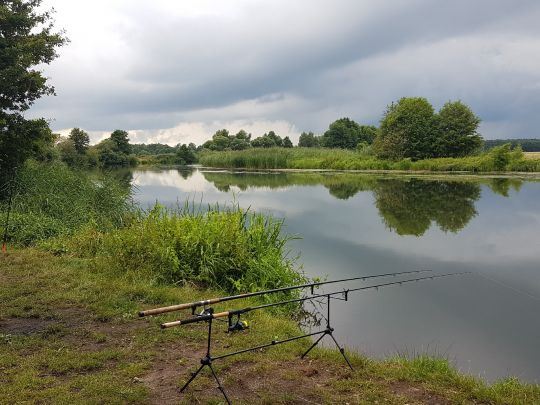 Aller (Marklendorf)-1