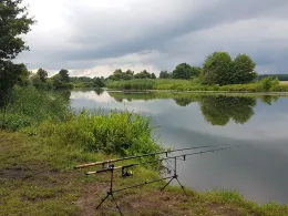 Aller (Marklendorf)-1