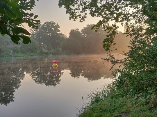 Aller (Marklendorf) angeln