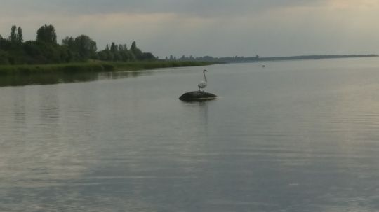 Rassower Strom (Vaschvitz)-2
