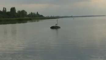 Rassower Strom (Vaschvitz)-2