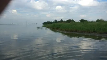 Rassower Strom (Vaschvitz)