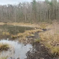 Grubenteich Hellda (Lichterfeld)-1