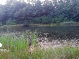 Grubenteich Hellda (Lichterfeld)