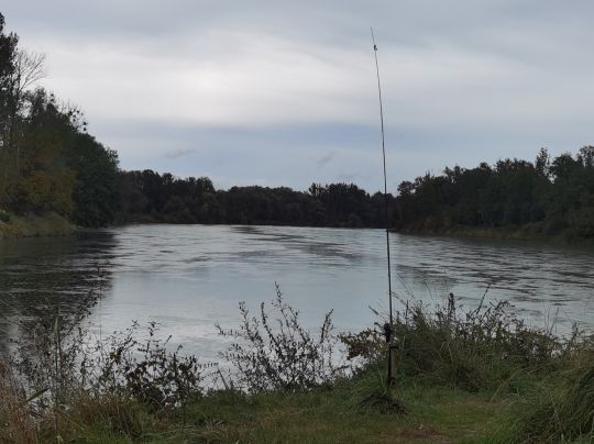 Salzach (Burghausen)-3