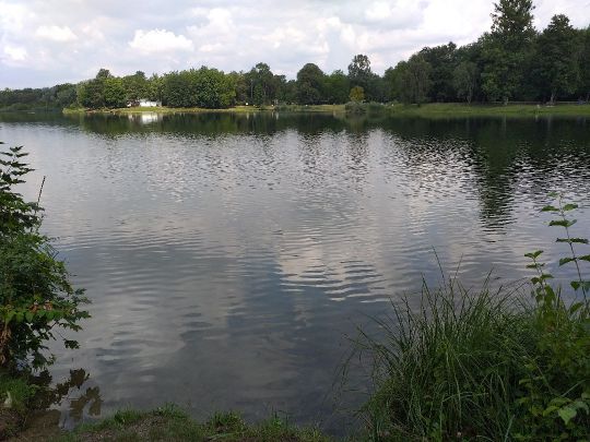 Auwaldsee (Ingolstadt)-1