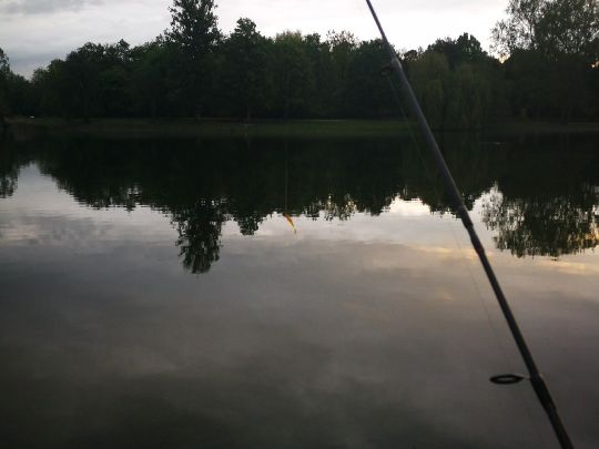 Auwaldsee (Ingolstadt)