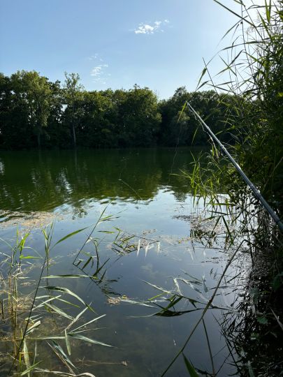 Auwaldsee (Ingolstadt)-4