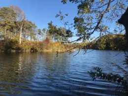 Auwaldsee (Ingolstadt)-3