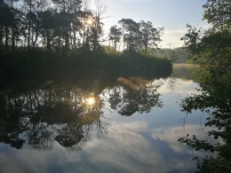 Auwaldsee (Ingolstadt)-2