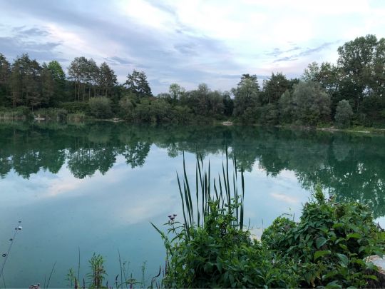 Schloßsee (Salem)-1