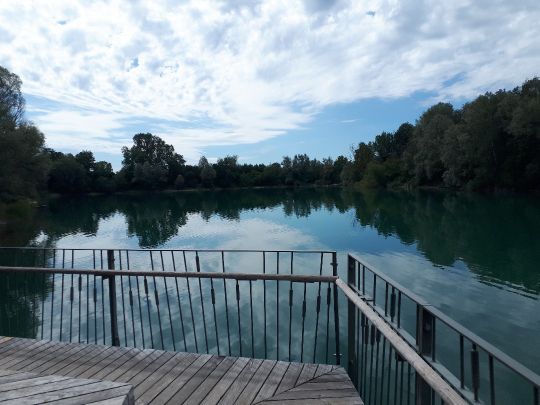 Schloßsee (Salem)
