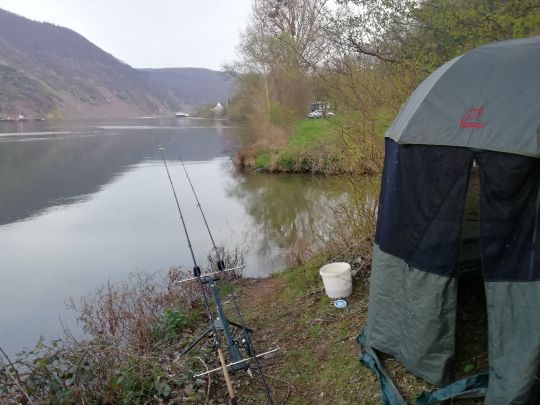 Mosel (Ellenz-Poltersdorf)-1