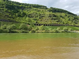 Mosel (Pünderich)