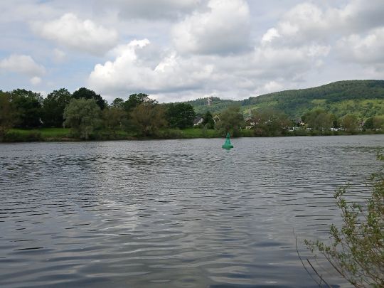 Mosel (Pünderich)-2
