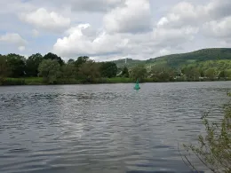 Mosel (Pünderich)-2