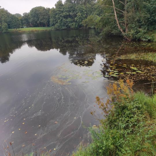 Tweelbäker See-1