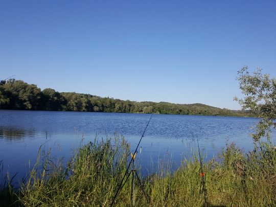 Nordsee 2 Zielfingen (Waller-Karpfensee)-2