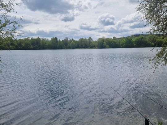 Nordsee 2 Zielfingen (Waller-Karpfensee)-4