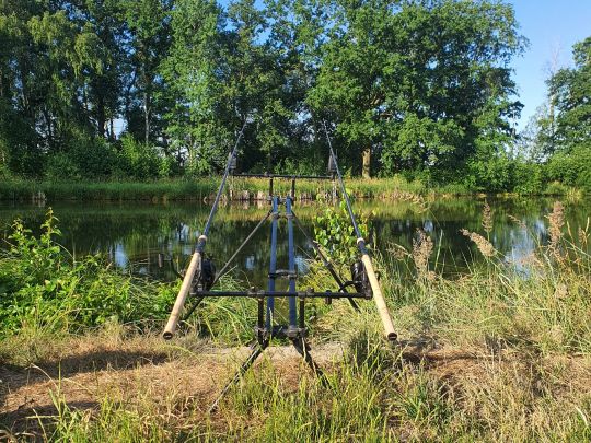 Teich am Oberen Anger (Nemt)-1