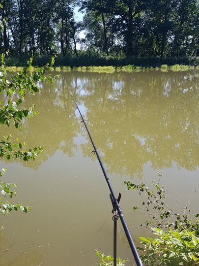 Teich am Oberen Anger (Nemt)-3