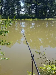 Teich am Oberen Anger (Nemt)-3