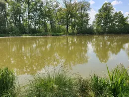 Teich am Oberen Anger (Nemt)-2