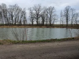 Teich am Oberen Anger (Nemt)-4